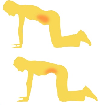 Иллюстрация к книге — Бодифлекс для лица и тела [i_060.jpg]