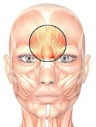 Иллюстрация к книге — Бодифлекс для лица и тела [i_088.jpg]