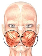 Иллюстрация к книге — Бодифлекс для лица и тела [i_100.jpg]