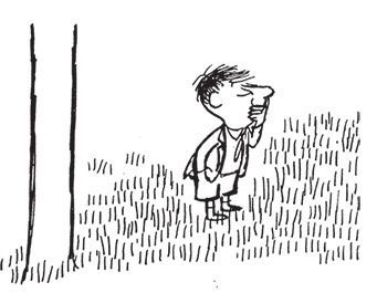 Иллюстрация к книге — Малыш Николя [i_068.jpg]