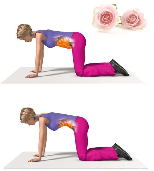 Иллюстрация к книге — Как убрать живот [i_026.jpg]