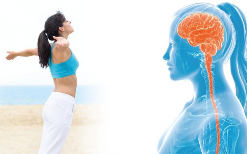 Иллюстрация к книге — Как убрать живот [i_032.jpg]