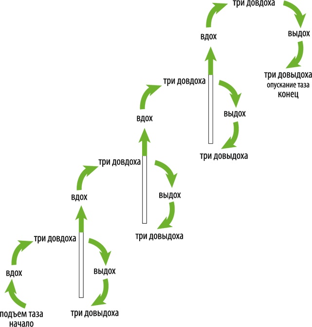 Иллюстрация к книге — Оксисайз. Худей без задержки дыхания [i_031.jpg]