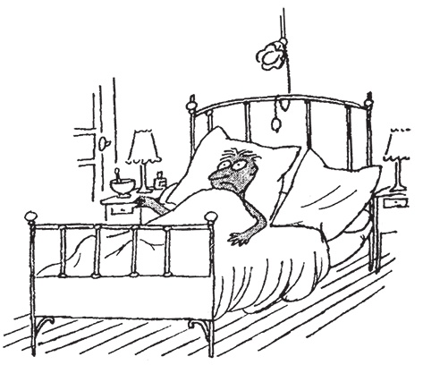 Иллюстрация к книге — Каникулы малыша Николя [i_014.jpg]