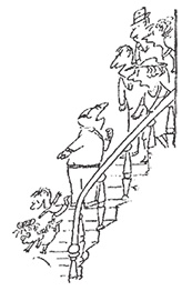 Иллюстрация к книге — Каникулы малыша Николя [i_017.jpg]