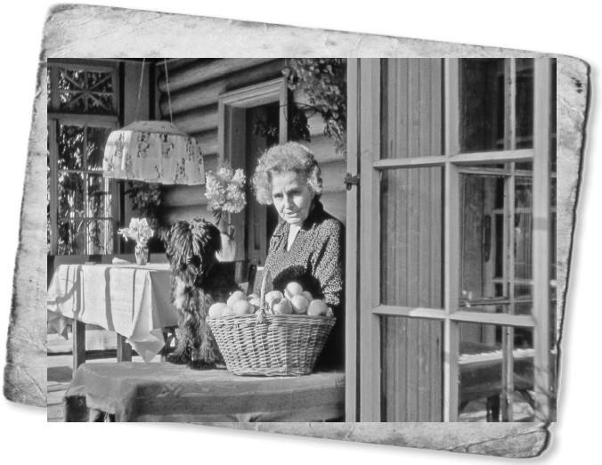 Иллюстрация к книге — Мемуары двоечника [i_036.jpg]