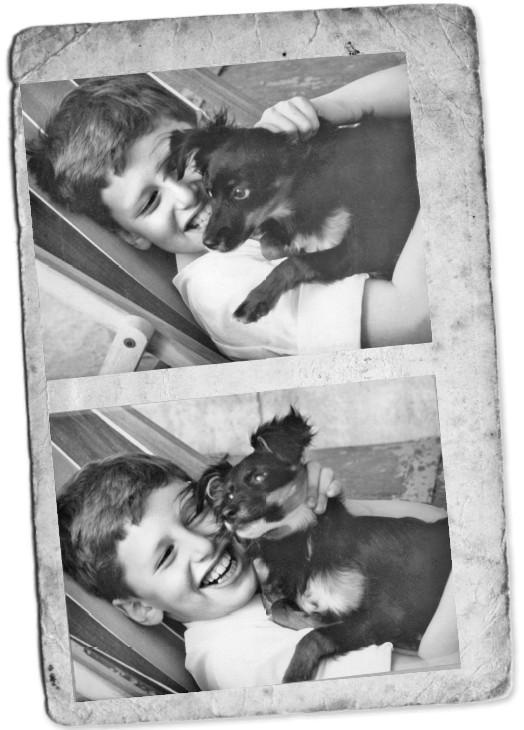 Иллюстрация к книге — Мемуары двоечника [i_041.jpg]