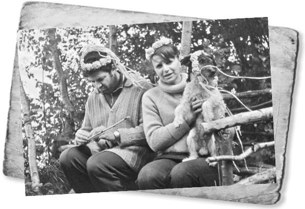 Иллюстрация к книге — Мемуары двоечника [i_050.jpg]