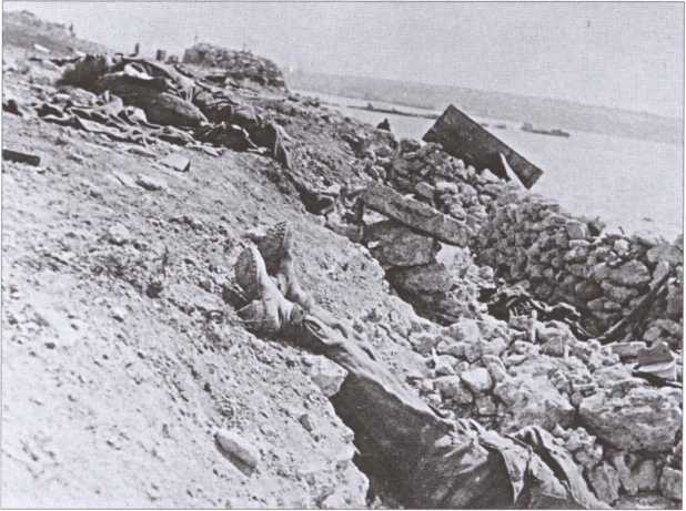 Иллюстрация к книге — Крым 1944. Весна освобождения [i_034.jpg]