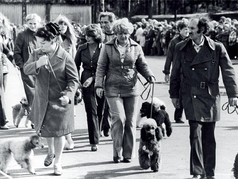 Иллюстрация к книге — Виктор Тихонов. Жизнь во имя хоккея [_51.jpg]