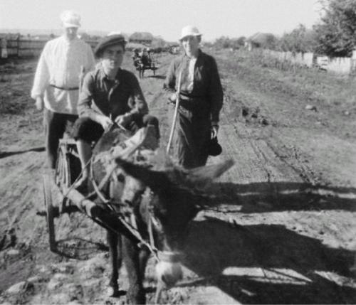 Иллюстрация к книге — Лосев [i_058.jpg]