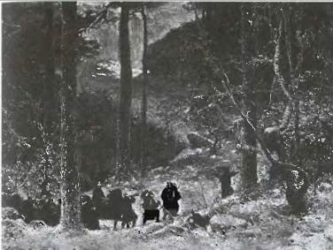 Иллюстрация к книге — Мифы Северной Европы [i_015.jpg]