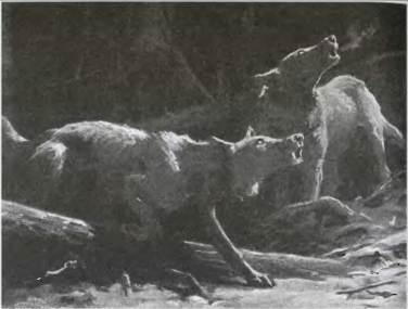 Иллюстрация к книге — Мифы Северной Европы [i_043.jpg]