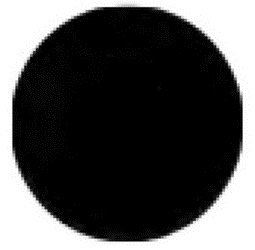 Иллюстрация к книге — Страх физики. Сферический конь в вакууме [i_016.jpg]