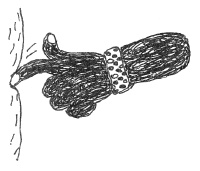 Иллюстрация к книге — Марго Синие Уши [i_070.jpg]