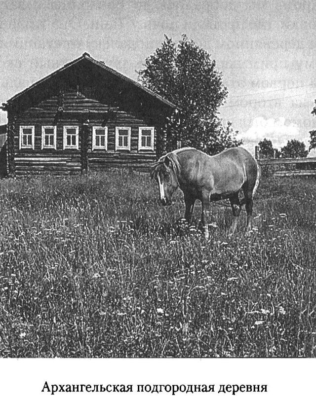 Иллюстрация к книге — Дом над Двиной [i_029.jpg]