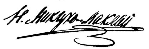 Иллюстрация к книге — Миклухо-Маклай. Две жизни &quot;белого папуаса&quot; [i_004.jpg]