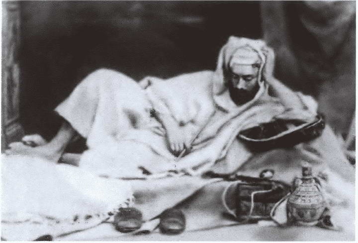 Иллюстрация к книге — Миклухо-Маклай. Две жизни &quot;белого папуаса&quot; [i_016.jpg]