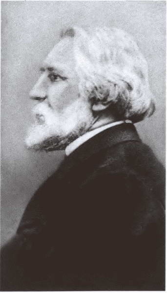 Иллюстрация к книге — Миклухо-Маклай. Две жизни &quot;белого папуаса&quot; [i_018.jpg]