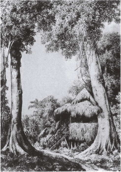 Иллюстрация к книге — Миклухо-Маклай. Две жизни &quot;белого папуаса&quot; [i_030.jpg]