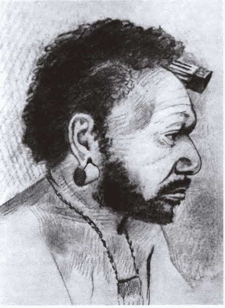 Иллюстрация к книге — Миклухо-Маклай. Две жизни &quot;белого папуаса&quot; [i_031.jpg]