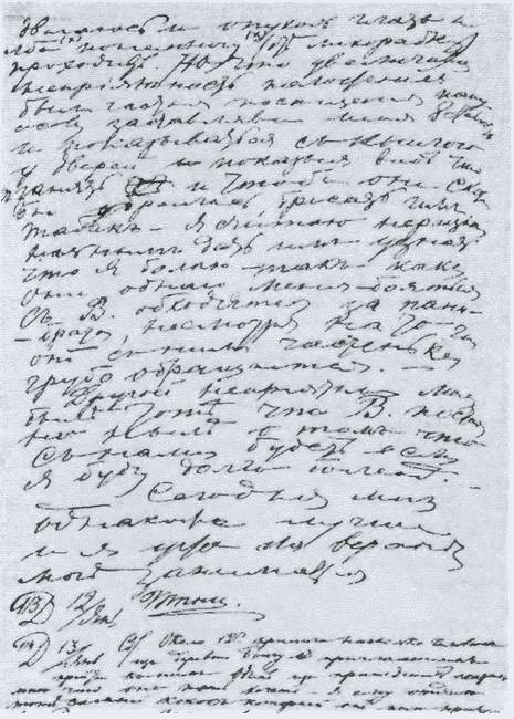 Иллюстрация к книге — Миклухо-Маклай. Две жизни &quot;белого папуаса&quot; [i_035.jpg]