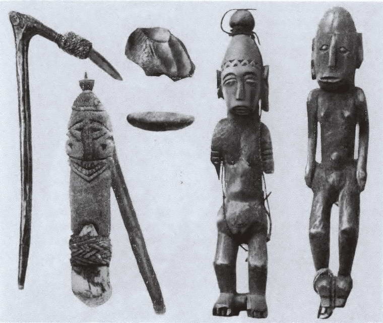 Иллюстрация к книге — Миклухо-Маклай. Две жизни &quot;белого папуаса&quot; [i_036.jpg]