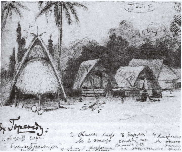 Иллюстрация к книге — Миклухо-Маклай. Две жизни &quot;белого папуаса&quot; [i_037.jpg]