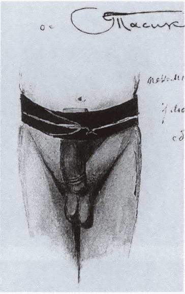 Иллюстрация к книге — Миклухо-Маклай. Две жизни &quot;белого папуаса&quot; [i_047.jpg]