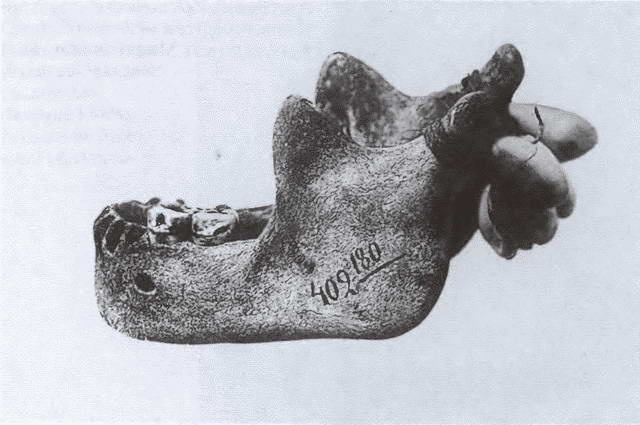 Иллюстрация к книге — Миклухо-Маклай. Две жизни &quot;белого папуаса&quot; [i_051.jpg]