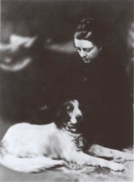 Иллюстрация к книге — Миклухо-Маклай. Две жизни &quot;белого папуаса&quot; [i_061.jpg]