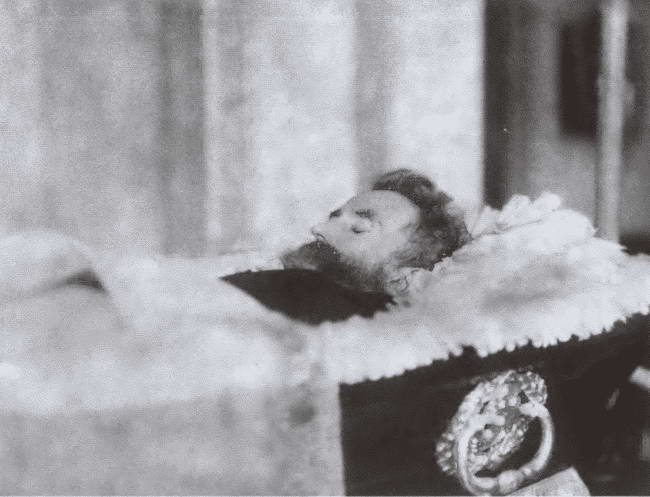 Иллюстрация к книге — Миклухо-Маклай. Две жизни &quot;белого папуаса&quot; [i_071.jpg]