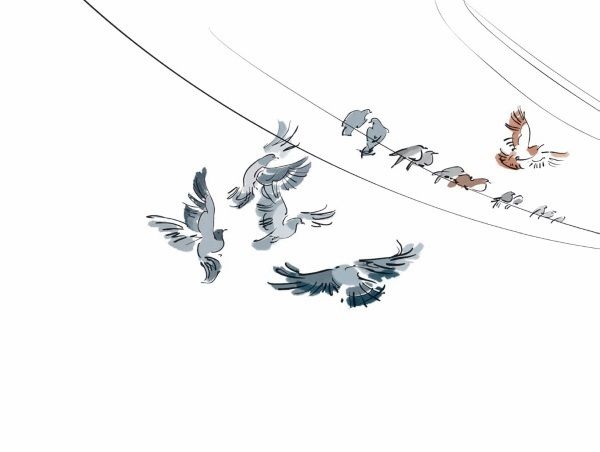 Иллюстрация к книге — Грустный гном, весёлый гном [i_003.jpg]