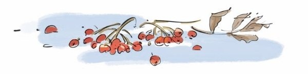 Иллюстрация к книге — Грустный гном, весёлый гном [i_005.jpg]