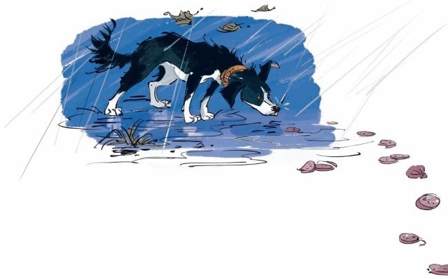 Иллюстрация к книге — Грустный гном, весёлый гном [i_030.jpg]