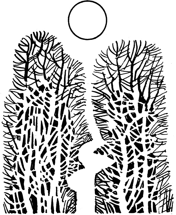 Иллюстрация к книге — Солнце на дороге [i_002.jpg]