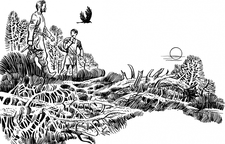 Иллюстрация к книге — Солнце на дороге [i_003.jpg]