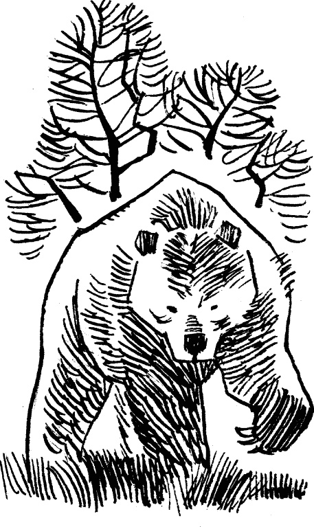 Иллюстрация к книге — Солнце на дороге [i_005.jpg]