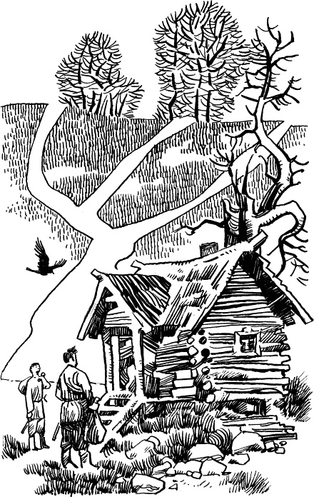 Иллюстрация к книге — Солнце на дороге [i_022.jpg]