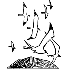 Иллюстрация к книге — Солнце на дороге [i_025.jpg]