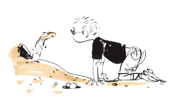 Иллюстрация к книге — Луч широкой стороной [i_007.jpg]