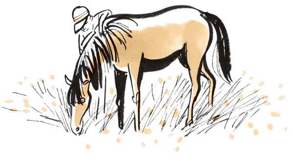 Иллюстрация к книге — Луч широкой стороной [i_010.jpg]