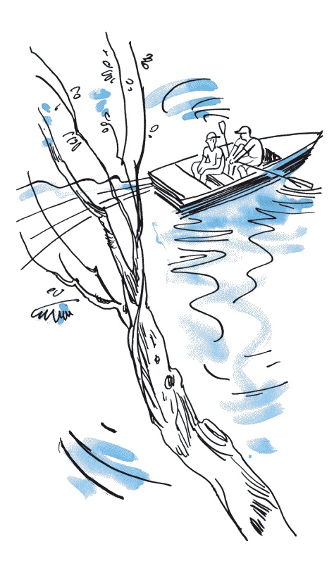 Иллюстрация к книге — Страшная тайна братьев Кораблевых [i_001.jpg]