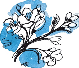 Иллюстрация к книге — Страшная тайна братьев Кораблевых [i_011.jpg]