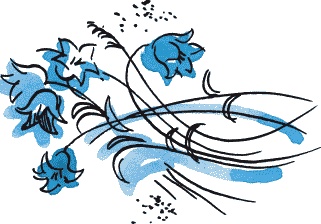 Иллюстрация к книге — Страшная тайна братьев Кораблевых [i_036.jpg]