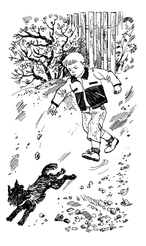 Иллюстрация к книге — Прикольные игры на Краю Света. Три повести об отрочестве [i_011.jpg]