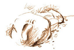 Иллюстрация к книге — Херсонеситы [i_067.jpg]