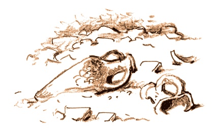 Иллюстрация к книге — Херсонеситы [i_077.jpg]