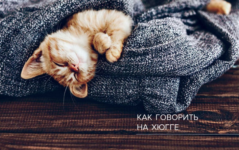 Иллюстрация к книге — Хюгге. Датское искусство счастья [i_003.jpg]