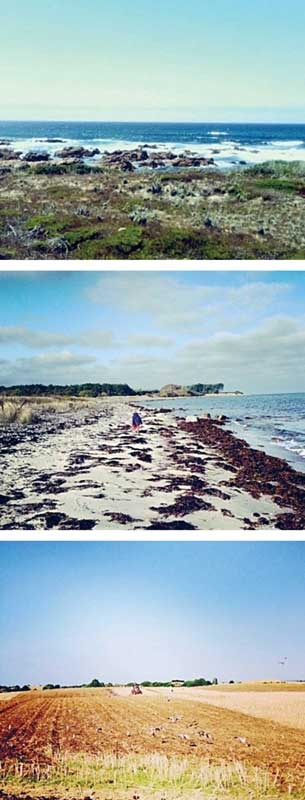 Иллюстрация к книге — Хюгге. Датское искусство счастья [i_010.jpg]